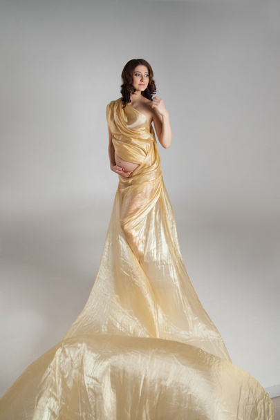 Young pregnant woman with transparent cloth. - Foto, Bild