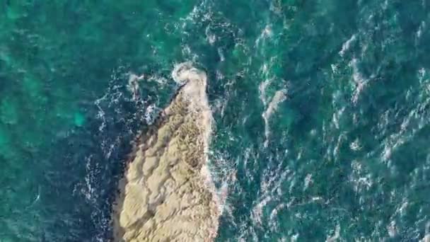 Вид з повітря на пляж Тугуб - Кюрасао - Карибське море з бірюзовою водою, скелею, пляжем і красивим кораловим рифом - Кадри, відео