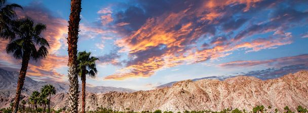 San Jacinto vuori, palmu jouset, Kaliforniassa - Valokuva, kuva