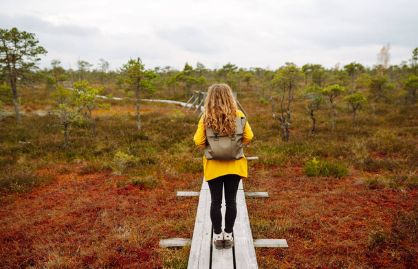 A hiker female wearing a yellow coat and backpack walks along a scenic nature trail with a wooden boardwalk overlooking wetlands. Travel and exploration - Photo, image
