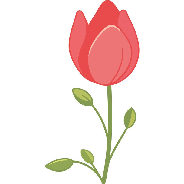 belleza rojo tulipán flor icono aislado - Vector, Imagen