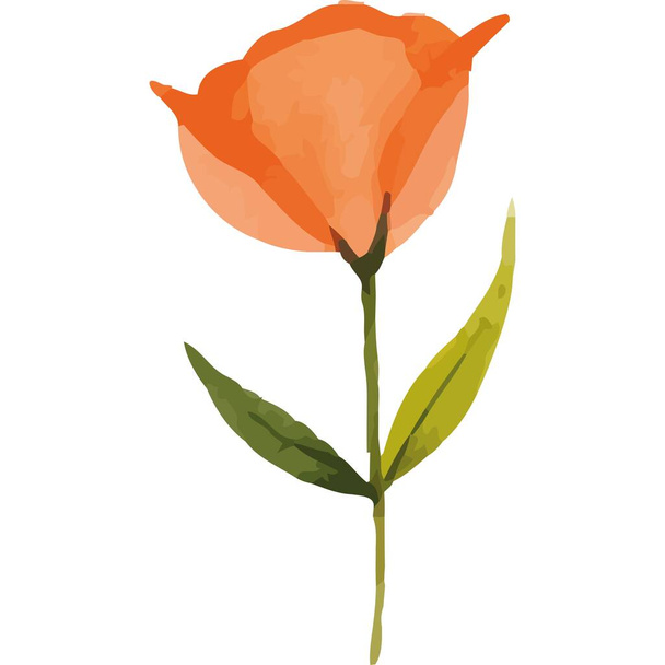 oranje roos bloem tuin natuur icoon geïsoleerd - Vector, afbeelding