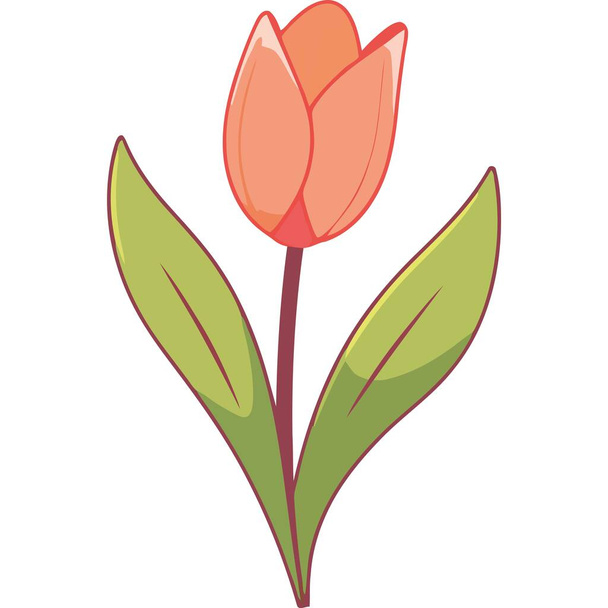 schoonheid oranje tulp bloem pictogram geïsoleerd - Vector, afbeelding