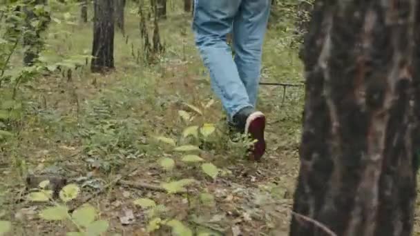 Seuranta kallistus laukaus nuori mies Biracial turisti trudging läpi metsän - Materiaali, video