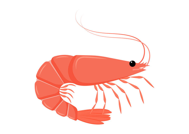 Shrimp Cartoon Character Vector Design piatto. Illustrazione vettoriale dei frutti di mare - Vettoriali, immagini