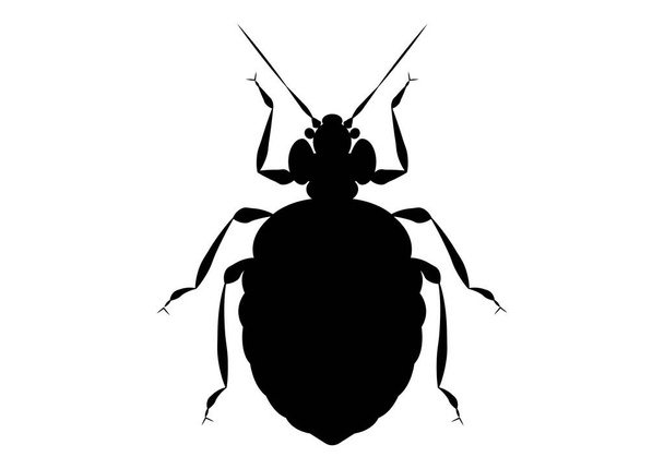 Musta ja valkoinen Bed Bug Clipart - Vektori, kuva