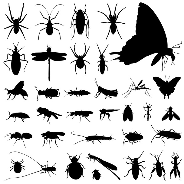 昆虫のシルエット - ベクター画像