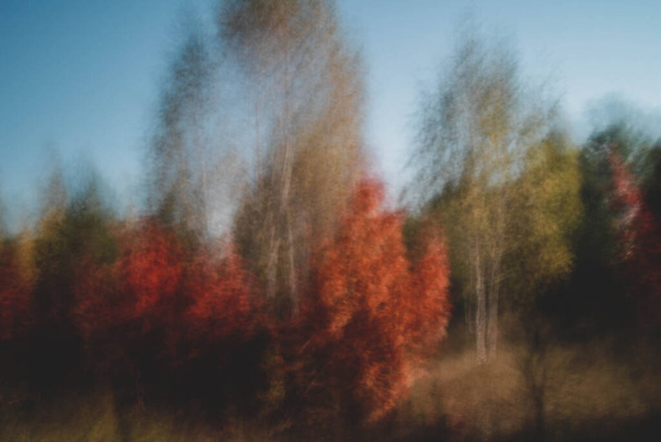 Δέντρα το φθινόπωρο, λαμβάνονται με μεγάλη ταχύτητα κλείστρου. - Φωτογραφία, εικόνα