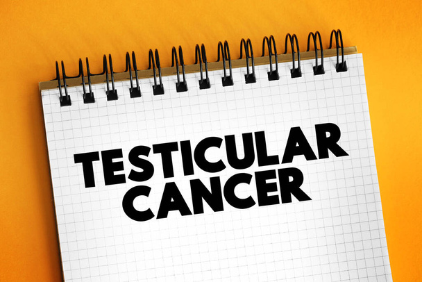 El cáncer testicular es uno de los cánceres menos comunes y afecta principalmente a hombres entre 15 y 49 años de edad, concepto de texto para presentaciones e informes - Foto, imagen