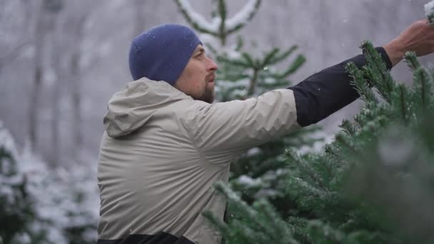 L'homme choisit l'arbre de Noël dans un marché extérieur en chute de neige, parlant au téléphone avec sa femme et la conseillant sur le bon choix. Symbole de Noël et du Nouvel An. Shopping de vacances pour NYE et Noël.  - Séquence, vidéo