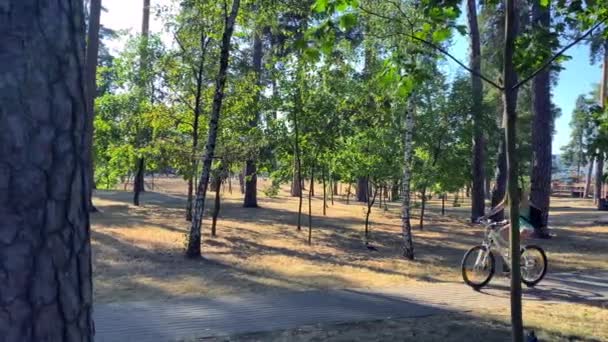 Una chica con una mochila negra monta una bicicleta en el parque. Hay árboles de hoja caduca y abetos y arbustos alrededor. Imágenes de alta calidad 4k - Imágenes, Vídeo