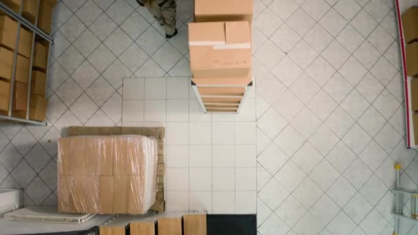 Top down view of warehouse chief supply chain officer examining cardboard box parcels in parallel, comparing findings. Depository staff members making sure stocks and inventory are well organized - Footage, Video