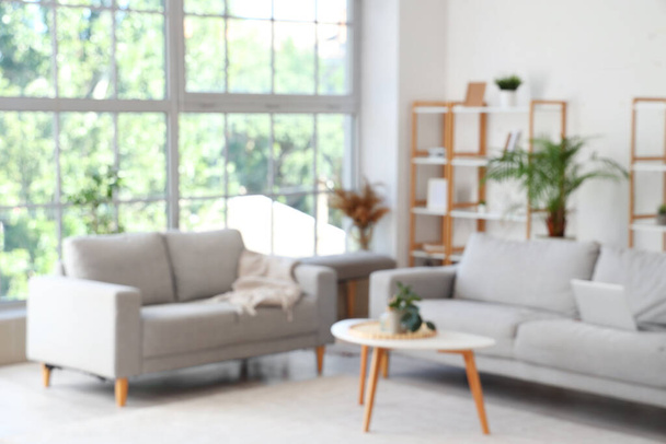 Homályos kilátás nappali kanapéval, asztal és a szobanövények - Fotó, kép