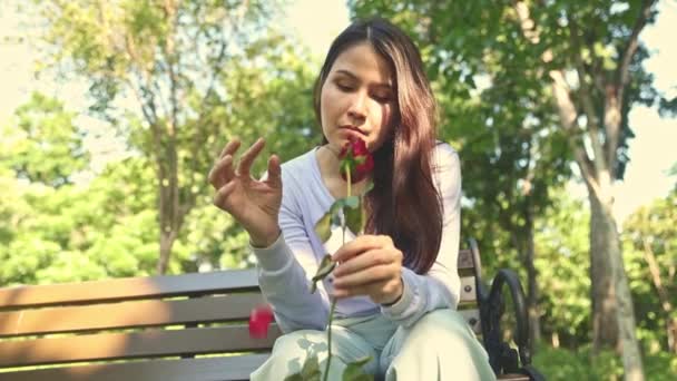 Jeune femme asiatique déçue par l'amour est assis seul dans le jardin cueillette roses et les jeter sur le sol dans l'agonie dépression esprit déprimé Introverti : cœur brisé, rupture, divorce Concept. - Séquence, vidéo
