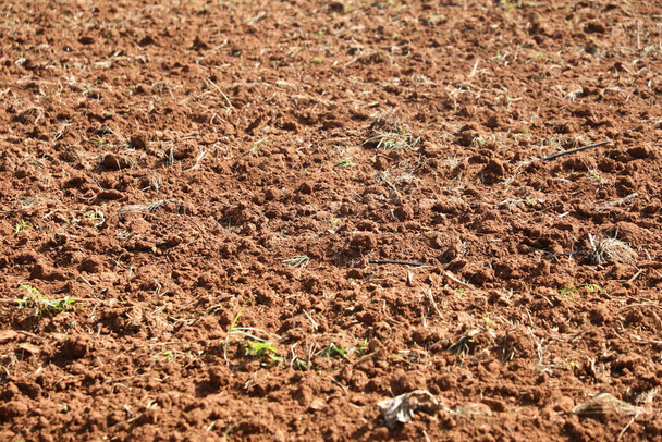 Сухий грязь на полях - Фото, зображення
