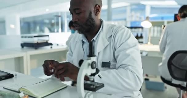Results, black man or scientist writing research notes for analysis on experiment or medical information. Notebook, microscope or expert in a laboratory with documents info for science development. - Footage, Video