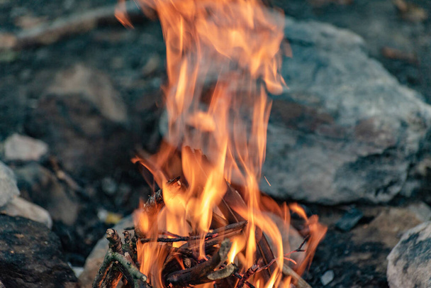 Φωτιά στο δάσος του φθινοπώρου - Φωτογραφία, εικόνα