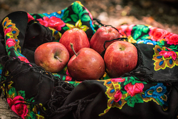 Manzanas rojas en la bufanda colorida de una mujer - Foto, Imagen