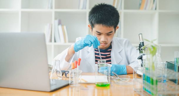 Asijští studenti se dívají do mikroskopu a testují rostliny ve třídě. Výuka o vědeckých pokusech na rostlinných druzích. - Fotografie, Obrázek