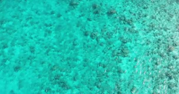 Bovenaanzicht van turkoois lagune oppervlak op atol. Blauwe lagune wateroppervlak. - Video
