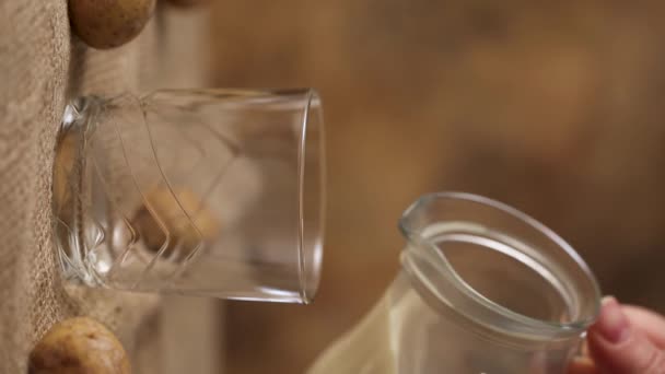 Vrouw schenkt Aardappelmelk alternatieve niet-zuivel drank in glas van decanter op zak. Gezonde vegetarische en veganistische drank concept FullHD beeldmateriaal verticale video - Video