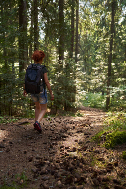 Woman hiker with backpack hiking in the mountain forest - Fotoğraf, Görsel