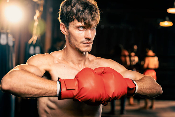 ボクシングの戦闘機のポーズ、白人のボクサーは積極的な姿勢でカメラの前で一緒に手袋を着用し、キックバッグやボクシング機器とジムで戦う準備ができて手や拳を置きます。インペトゥス - 写真・画像