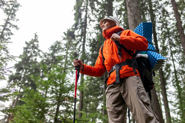 touriste masculin avec sac à dos et matériel de randonnée promenades dans la forêt, gars en veste orange promenades dans les montagnes avec bâton de trekking - Photo, image