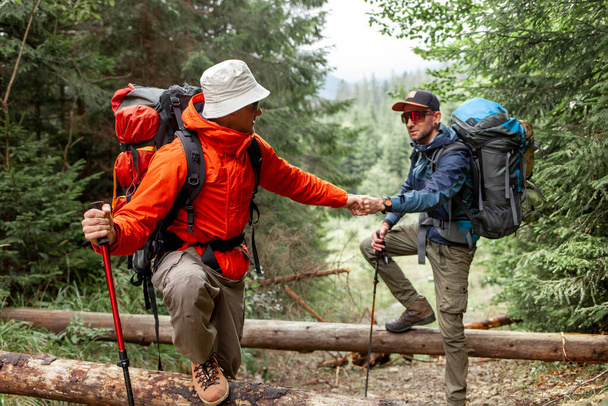 two male tourists with backpacks and hiking equipment walk in the forest together and give helping hand, people on mountain hike with trekking poles - Photo, Image