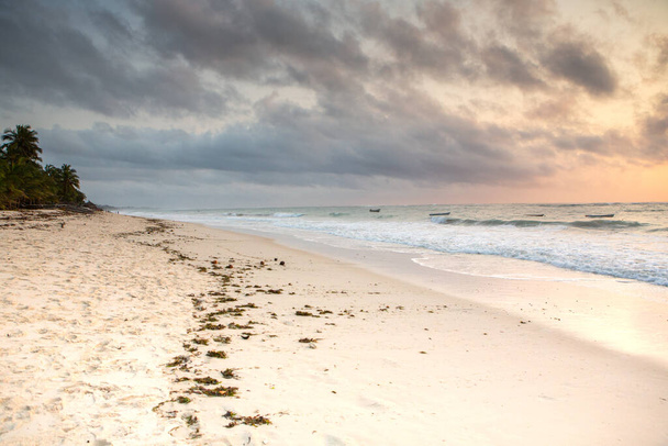 Παραλία Paradise με λευκή άμμο και φοίνικες. Παραλία Diani στο περιβάλλον του Ινδικού Ωκεανού της Μομπάσα, Κένυα. Τοπίο φωτογραφία εξωτική παραλία στην Αφρική - Φωτογραφία, εικόνα