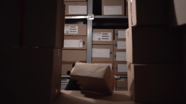 Concept van veiligheidsproblemen in magazijnen. Een dief met een zwart masker steelt dozen met pakjes in een opslagruimte 's nachts. Kopieerruimte - Video