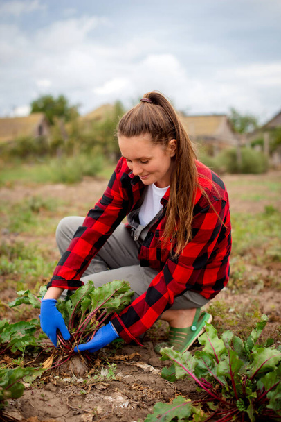 Farmerka w ogrodniczkach pracuje w ogrodzie warzywnym. czas zbiorów we wsi - Zdjęcie, obraz
