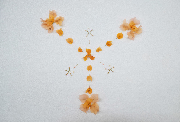 projeto de pétala flor laranja
 - Foto, Imagem