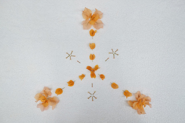 Diseño de pétalo de flor naranja
 - Foto, Imagen