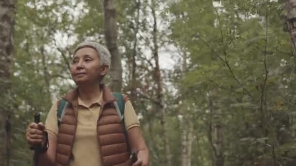 Μέτριο πλάνο άποψη της ταιριάζει ανώτερος ασιατική γυναίκα Nordic περπάτημα με κοντάρια στο δάσος - Πλάνα, βίντεο