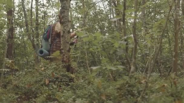 Tracking shot του ενεργού ανώτερου ασιατική γυναίκα πεζοπορία στο δάσος και μόνο να πάρει μέσα από δέντρα και θάμνους χρησιμοποιώντας στύλους για σκανδιναβικό περπάτημα - Πλάνα, βίντεο
