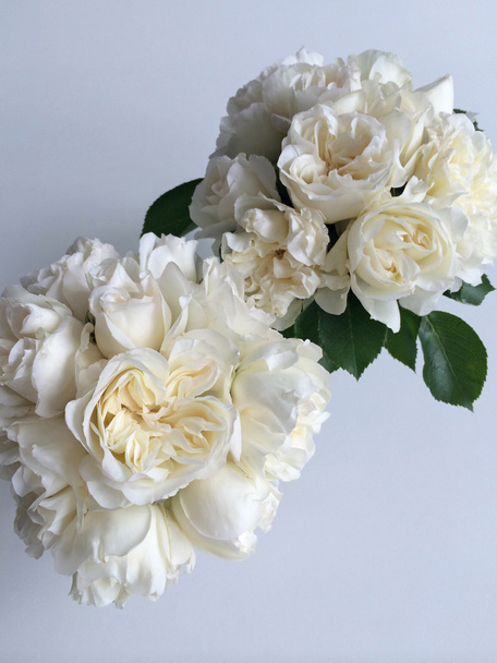 kytici čajových růží - Fotografie, Obrázek