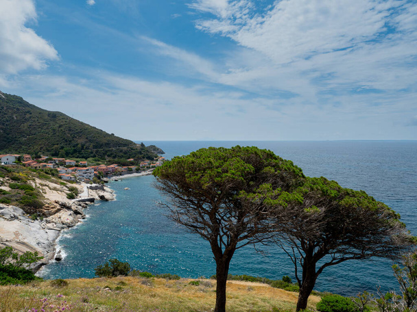 Widok na krajobraz z sosnami i błękitne wody w pobliżu Marciana na włoskiej wyspie Elba - Zdjęcie, obraz
