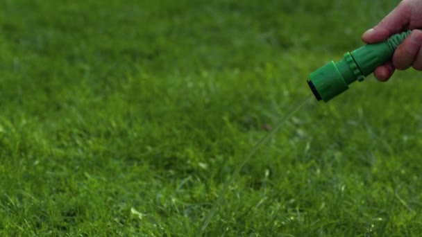 Садовник использует шланг для воды сад среднего зума медленного движения селективного фокуса - Кадры, видео
