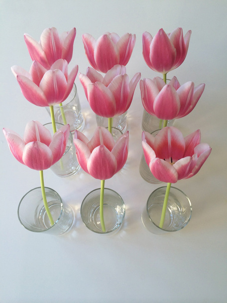 Розовые тюльпаны в вазе
 - Фото, изображение