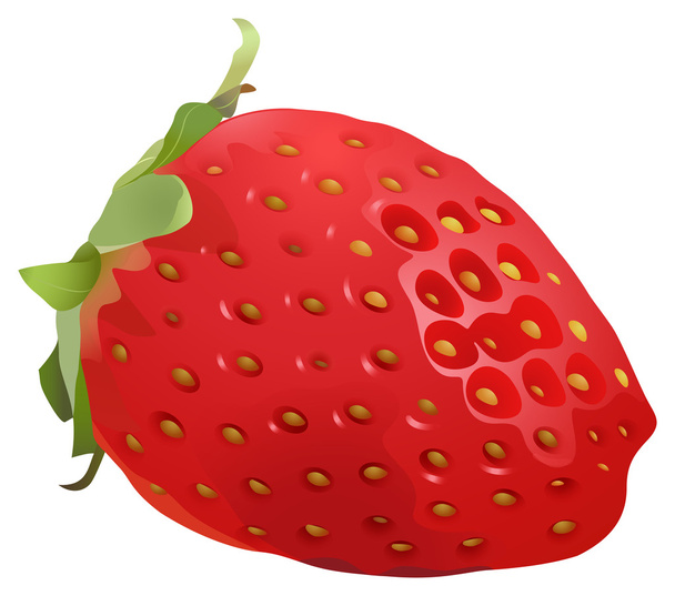 Delicioso e suculento stawberry
 - Vetor, Imagem