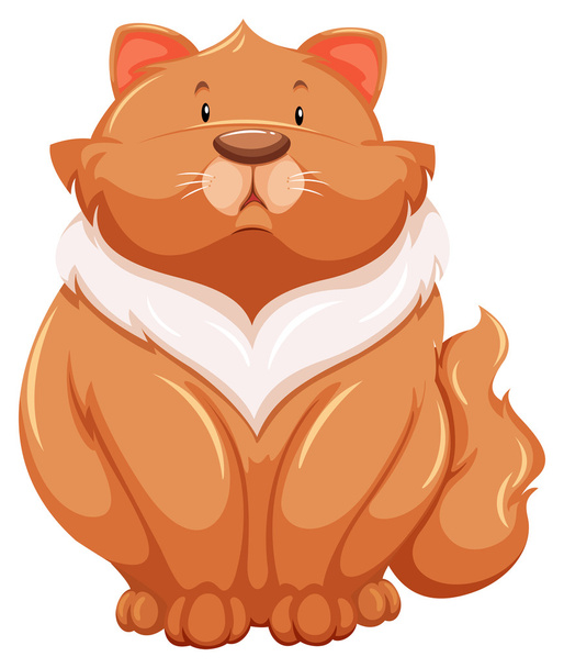 Толстый кот - Вектор,изображение