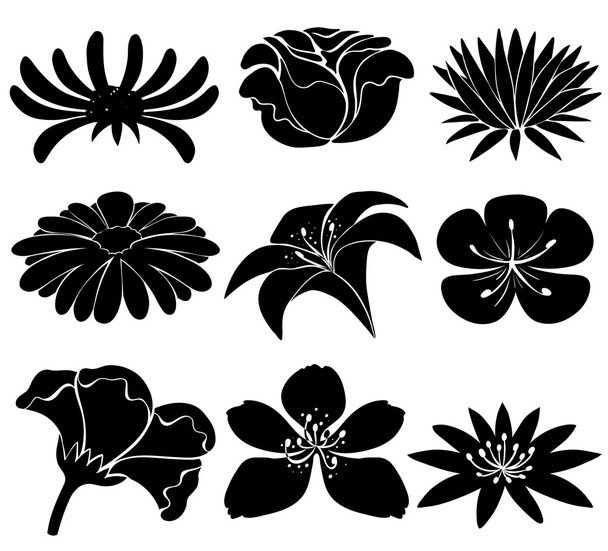Set of black flowers - Vector, Image