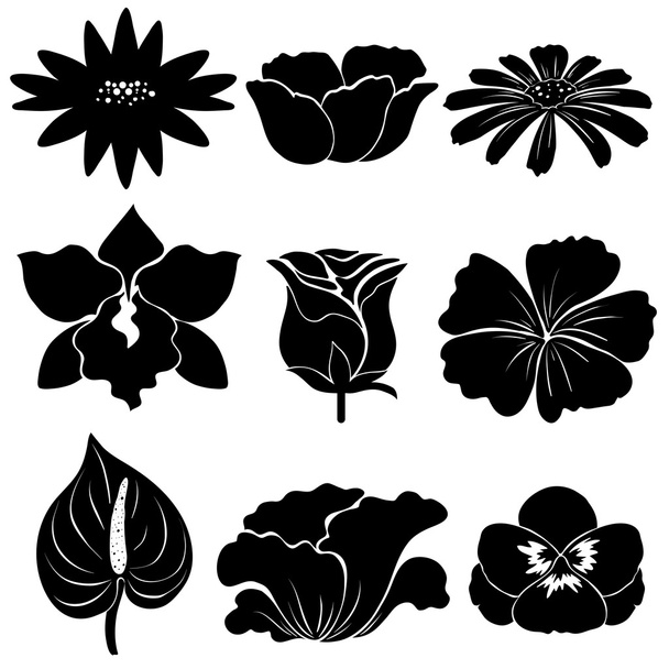 Black flower templates - Vector, Image