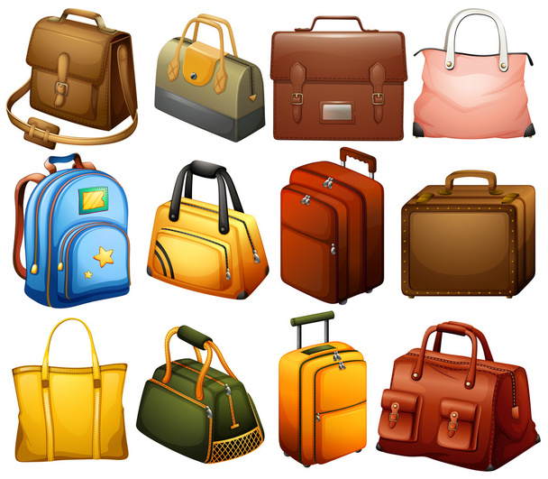 Collection of different bags - Vector, Image