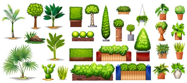 Verschillende soorten van planten - Vector, afbeelding