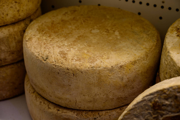 Distintos quesos asturianos elaborados con melk de vaca, cabra y oveja se exhiben en la tienda de quesos de agricultores, Asturias, norte de España, de cerca - Foto, imagen