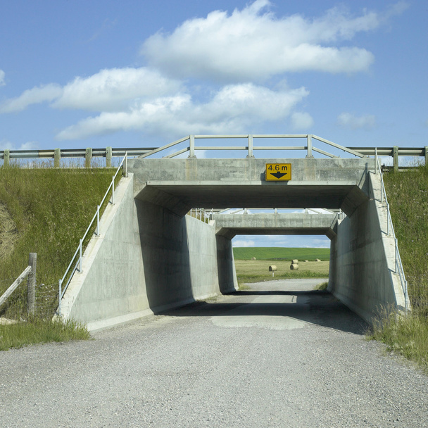 Rural tunnel - Foto, afbeelding