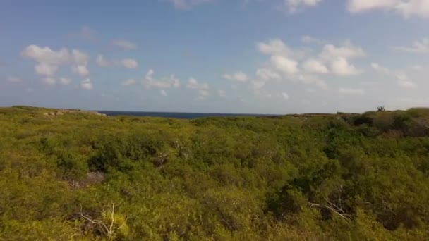 Légi felvétel egy karibi szigetre - Felvétel, videó