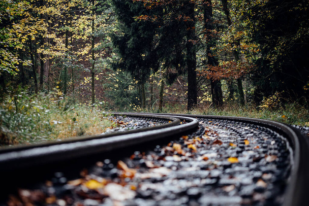 Bahnstrecke im Herbstpark - Foto, Bild